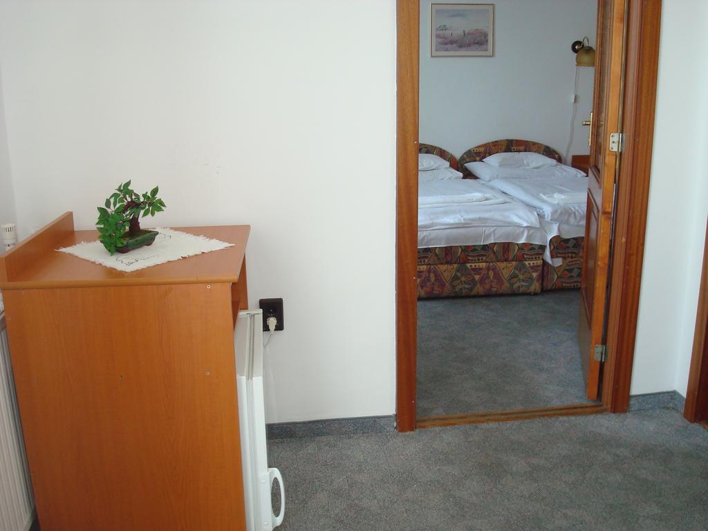 Hotel Termal Tiszaújváros 部屋 写真