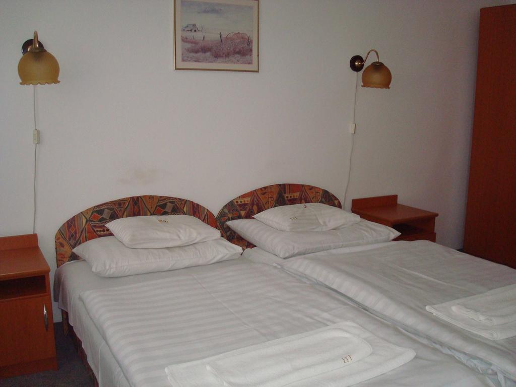 Hotel Termal Tiszaújváros 部屋 写真